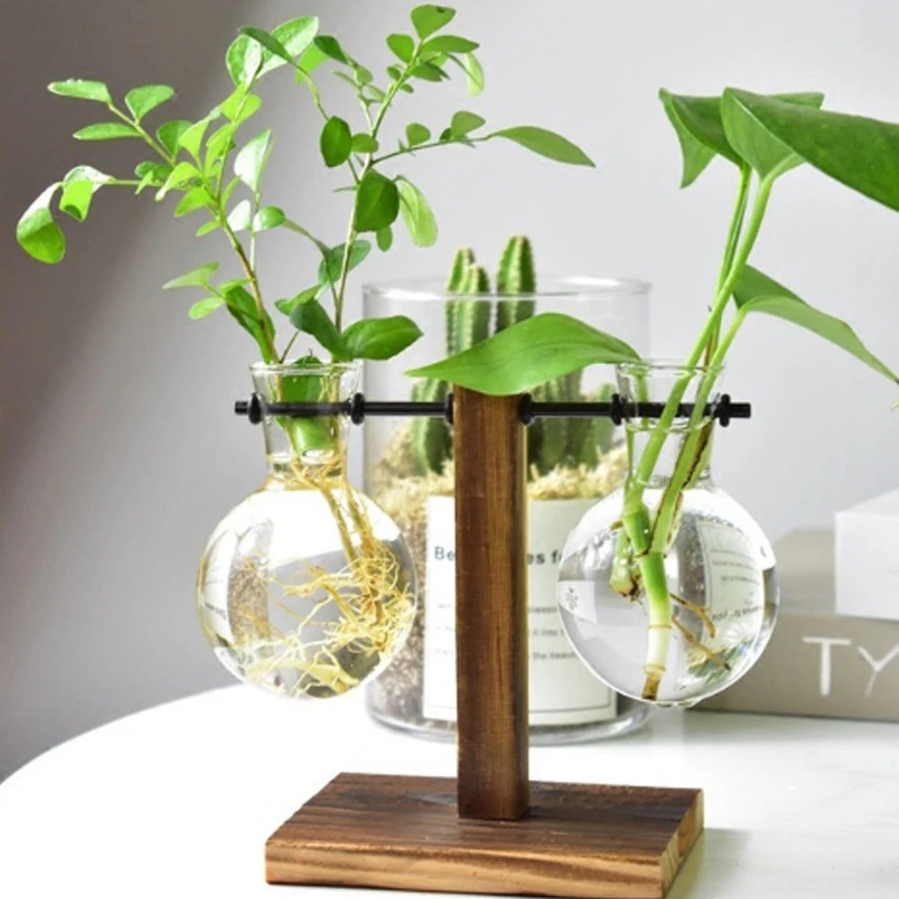 Double Wood And Glass Vases With Greenery Plants