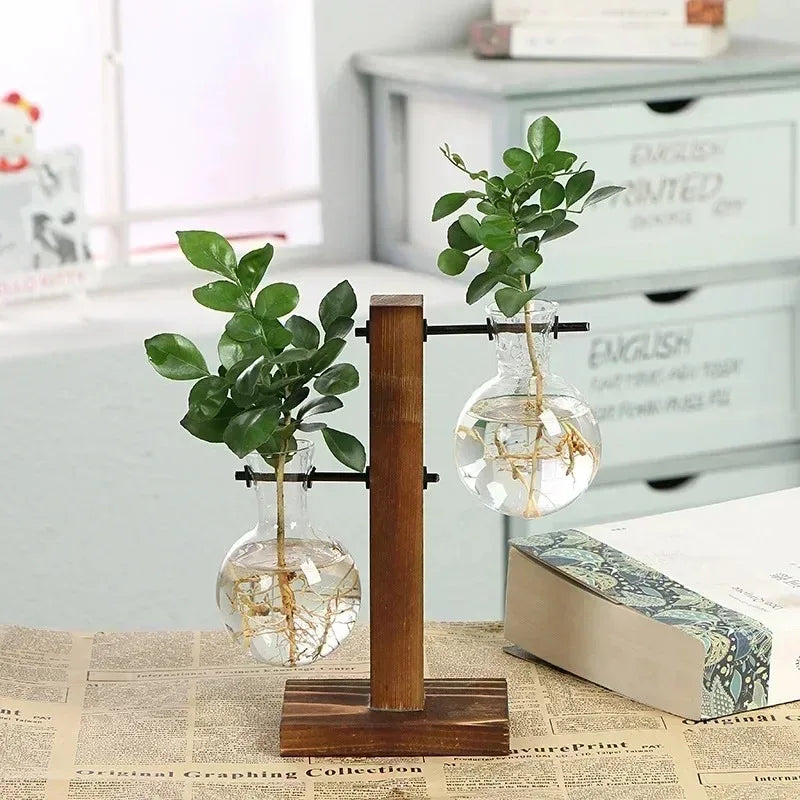 Green Plants In Unique Glass Vases With Wood Hanging Post Tabletop Design