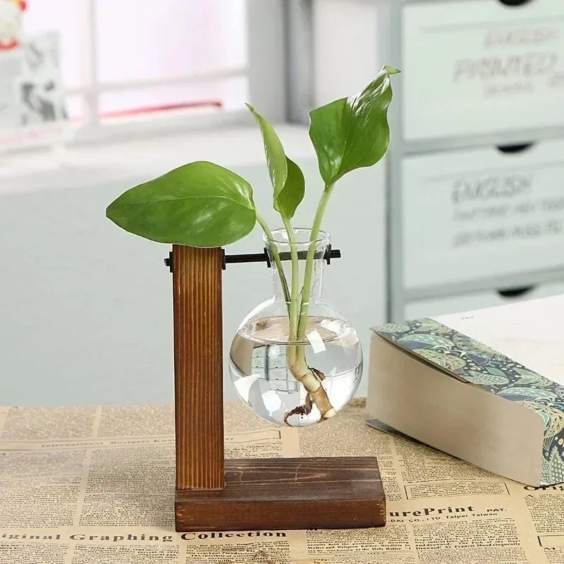 Greenery In Single Vase Near Book Tabletop Style Hanging Hydroponic Like Vases On Metal Post In Wood Frame