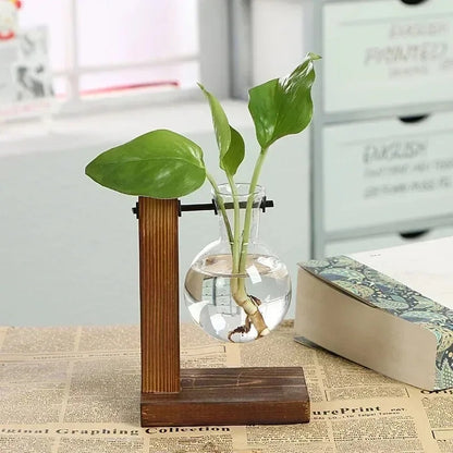 Greenery In Single Vase Near Book Tabletop Style Hanging Hydroponic Like Vases On Metal Post In Wood Frame