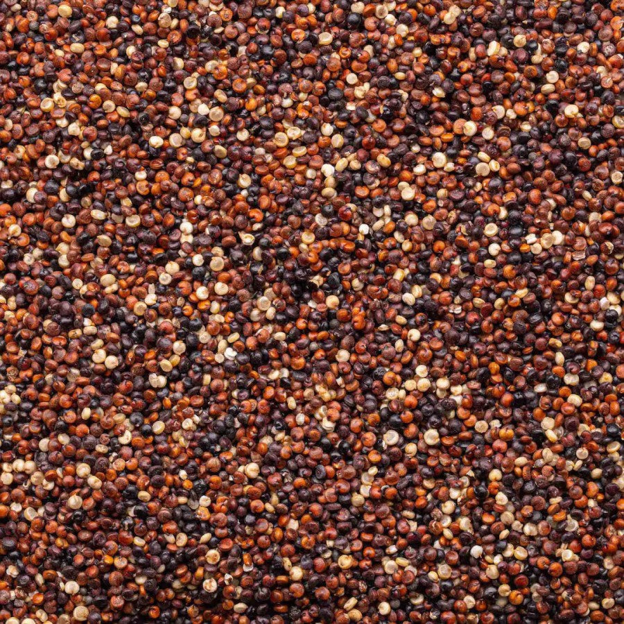 Organic Tri Color Quinoa Lundberg Family Farms